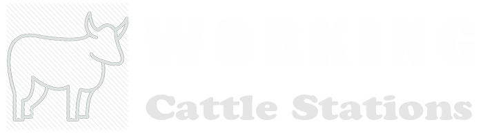 Working Cattle Stations